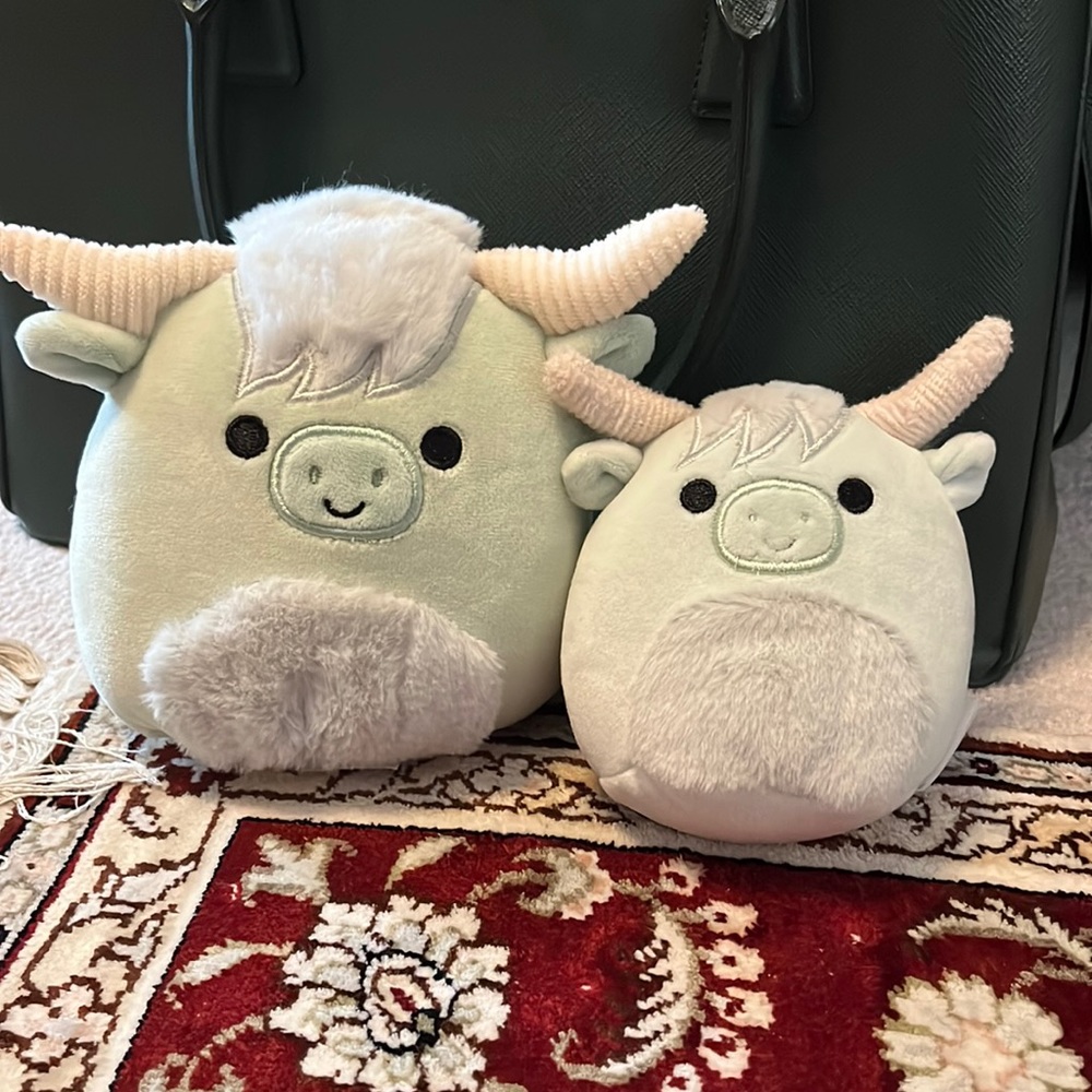 5” and 3.5” Iver Squishmallow bundle
